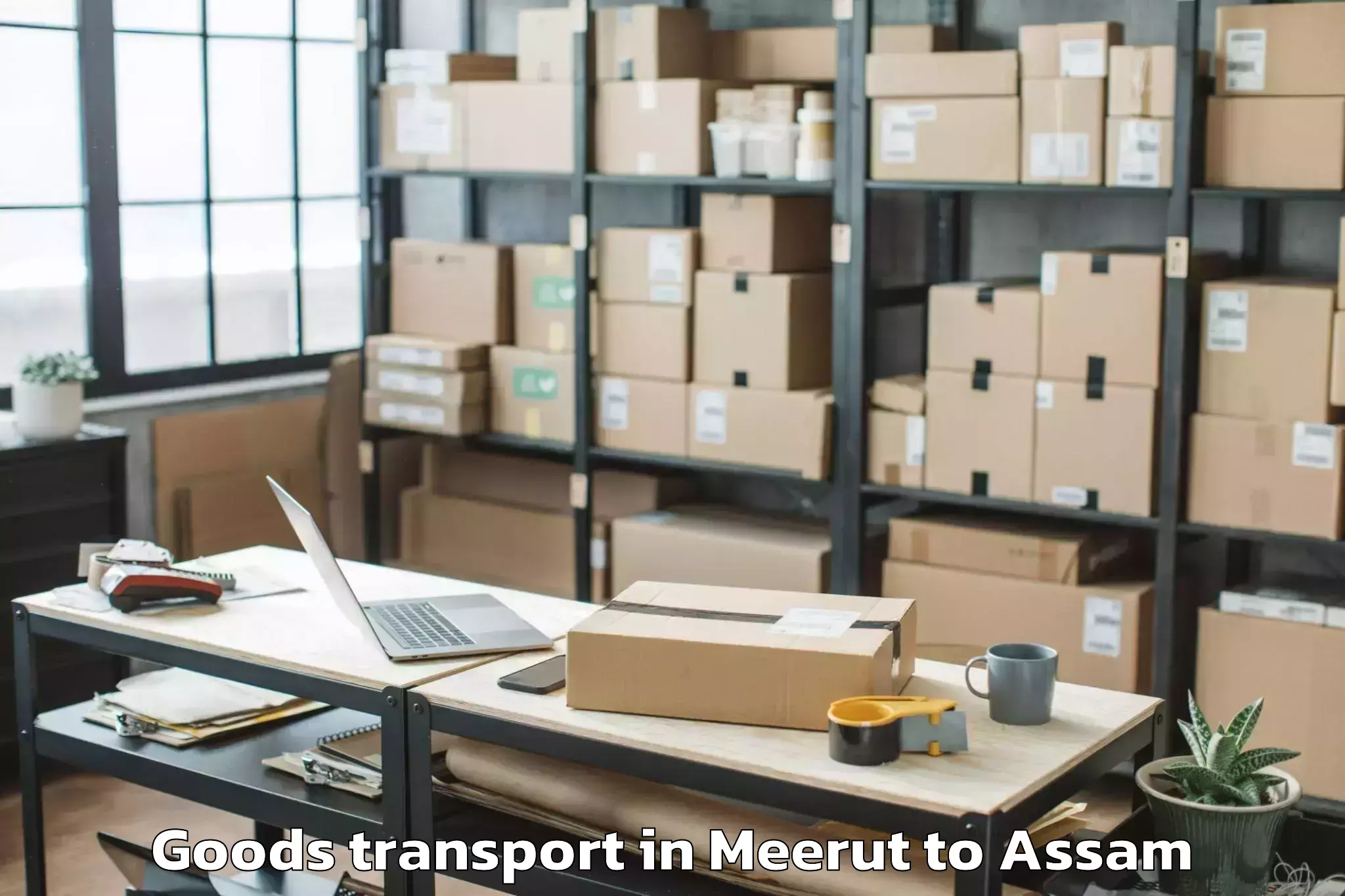 Book Meerut to Rangia Pt Goods Transport